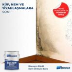 Bianca Bia-Nem BN-82 (Nem Önleyici Boya) - Görsel 2